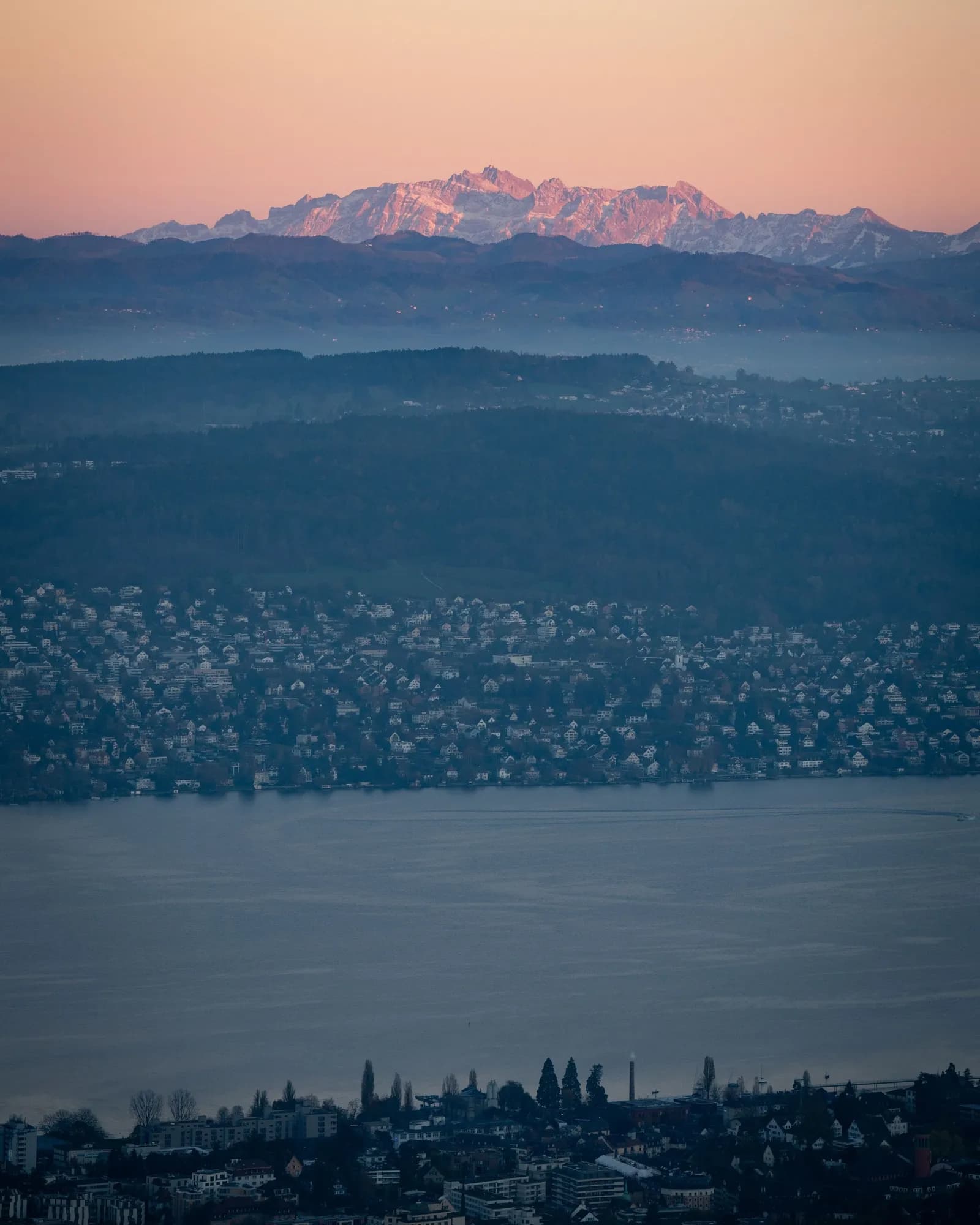 Zurich and its lake from the hill above the city, the Alps lit pink on the horizon