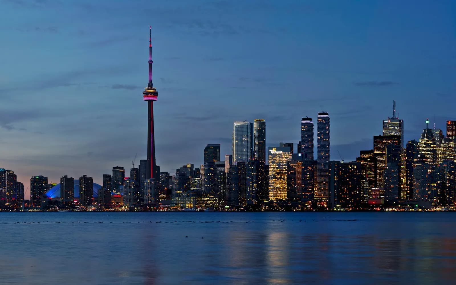 The Toronto skyline and the CN Tower at night